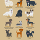 Illustration for article titled Adorable Drawings of Dog Breeds, Grouped By Their Place of Origin